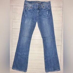 American Eagle Artist Jeans